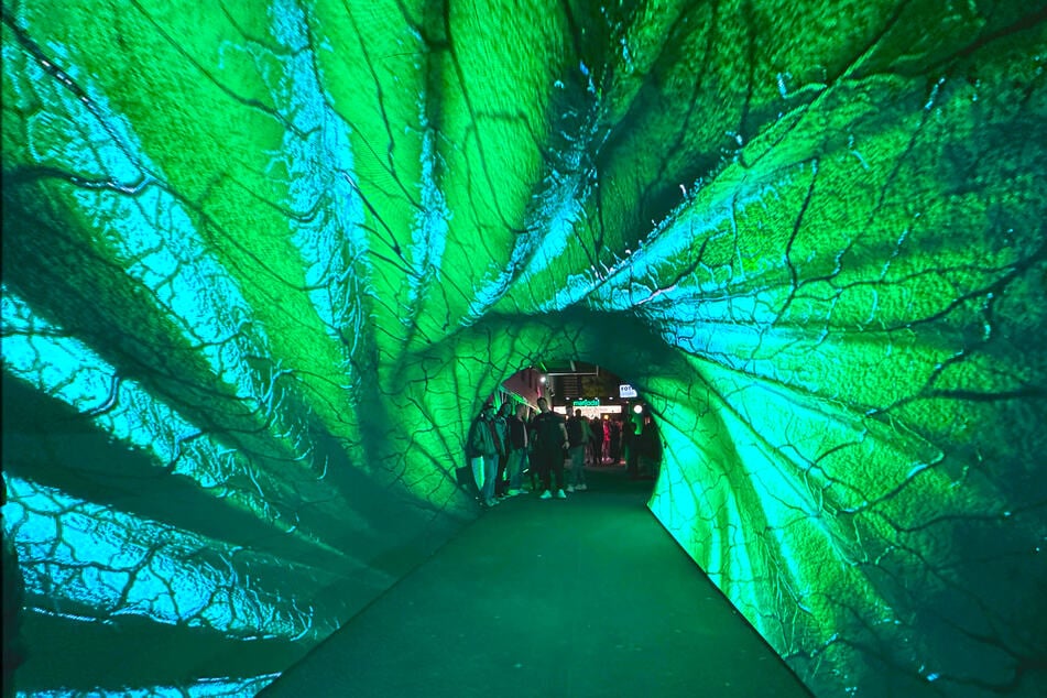 Ein sieben Meter langer 3D-Tunnel führte am Dienstagabend zum Eingang "Zur Ritze".