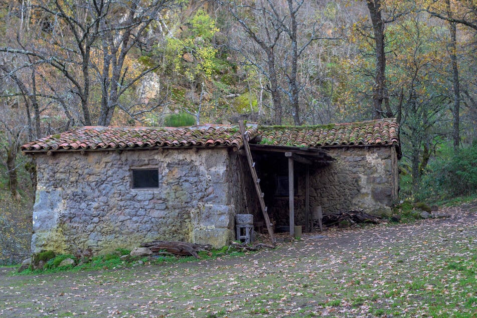 Lebten ohne Wasser und Strom: Fall um Kinder der Waldfamilie löst Welle der Empörung aus
