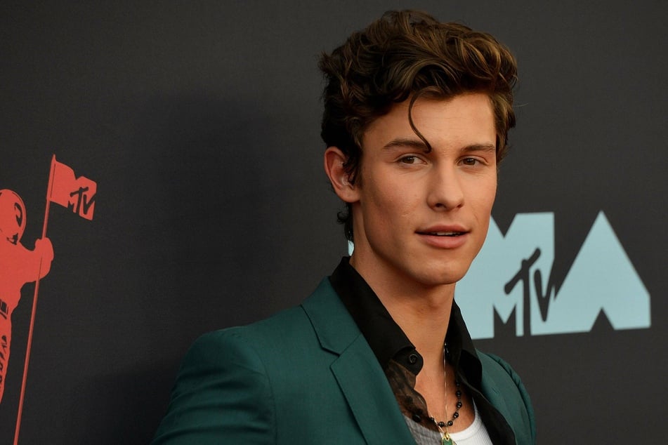 Shawn Mendes teased his upcoming Netflix documentary to the public with a big revelation.