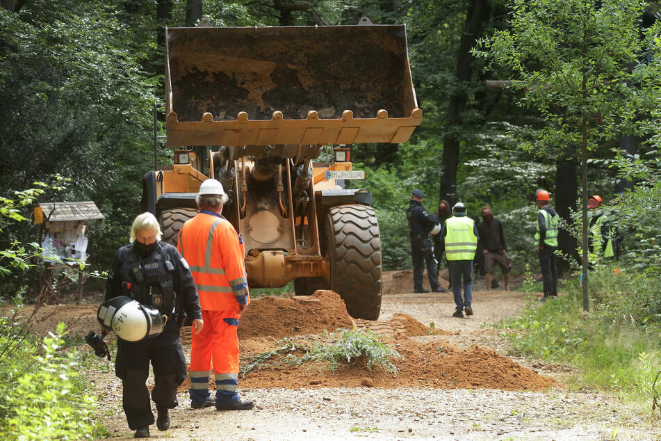 Der Hambacher Forst ist zum Symbol des Widerstands gegen den Braunkohleabbau geworden.