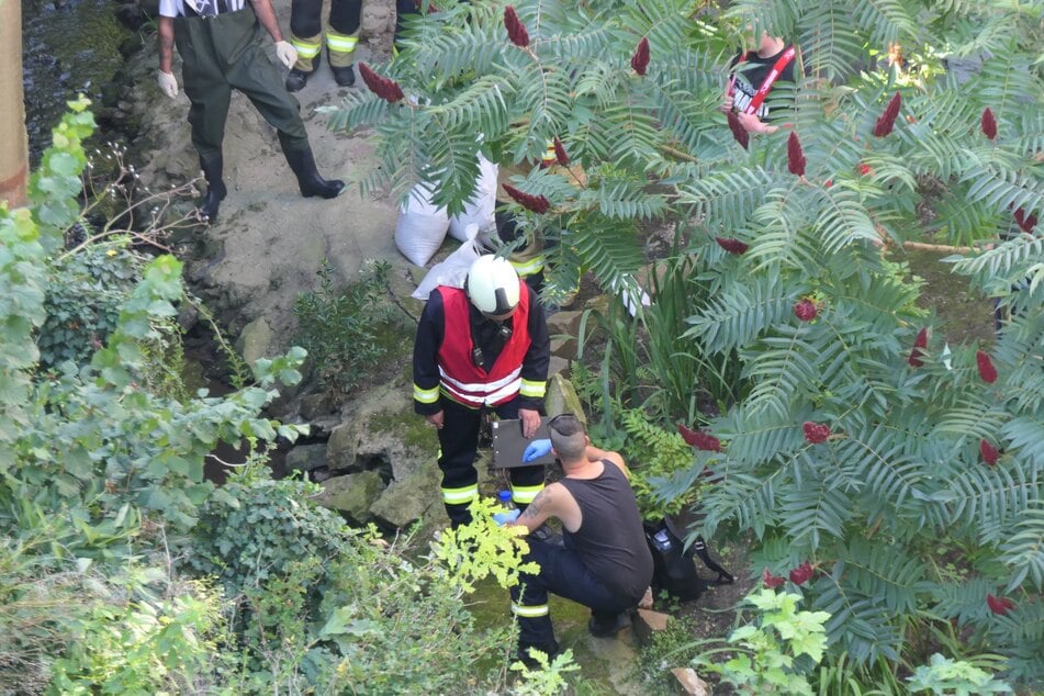 Einsatzkräfte der Feuerwehr am Mutzschener Wasser. In dem Gewässer ist es am Samstagmorgen zu einer Verunreinigung gekommen.