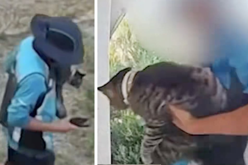 Amazon-Bote Joshua Gonzales nahm bei einer Paket-Zustellung die Katze einer Familie mit.