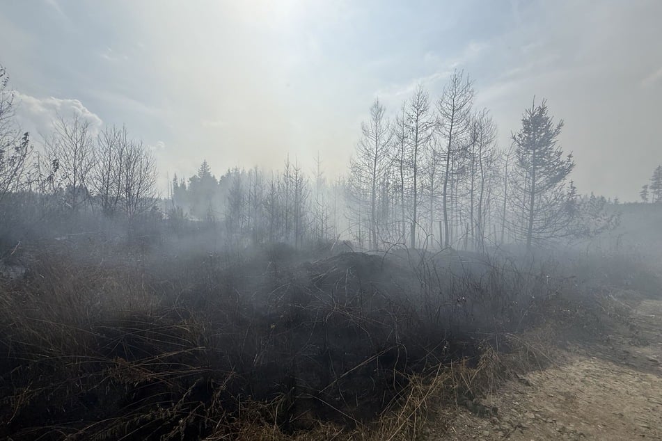 Rund 25.000 Quadratmeter wurden von dem Feuer erfasst.