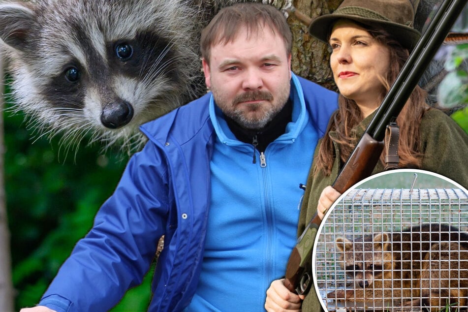 Putzige Tierchen haben sich zur Plage entwickelt: Schon 27.000 Problembären geschossen