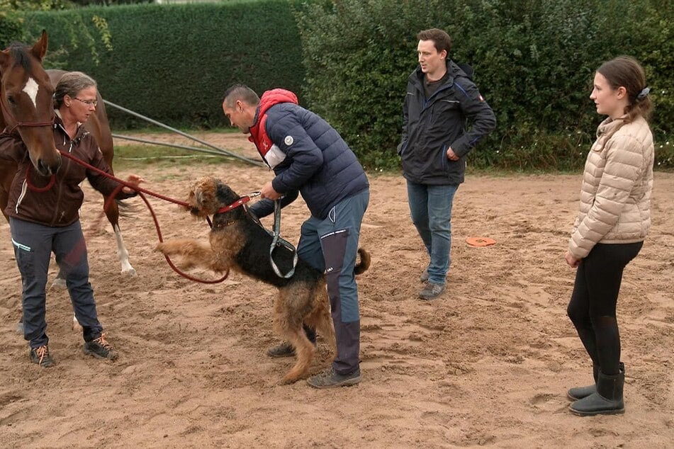 Hundetrainer Marcel Wunderlich (2.v.r.) wird schnell klar: Buddy hat das Sagen in der Familie.