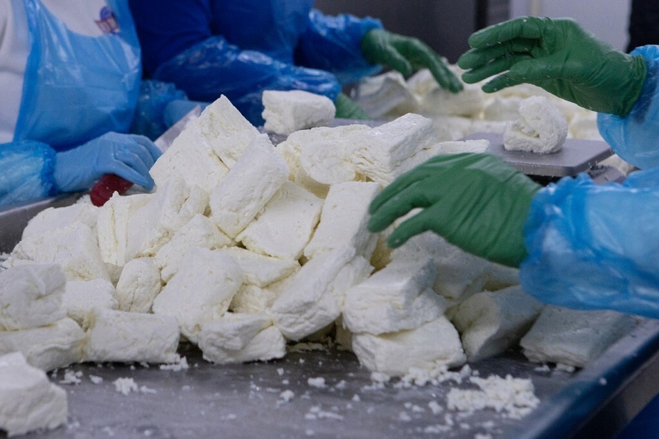 Workers in Cyprus sort freshly made halloumi cheese at a specialized dairy factory.