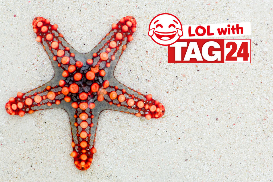 Today's Joke of the Day from TAG24 is a star in its own right.
