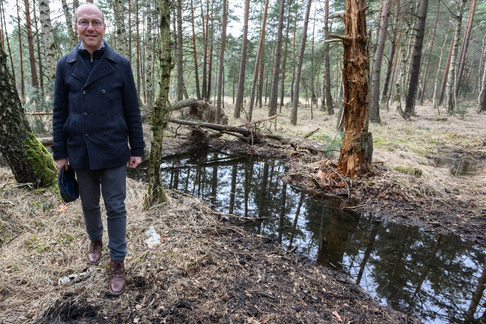 Sachsens Umweltminister Wolfram Günther (50, Grüne) fordert dazu auf, nicht fahrlässig mit dem Wald umzugehen. (Archivbild)