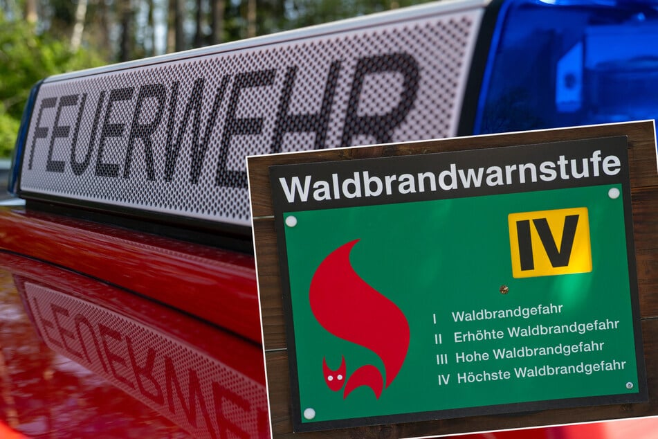 Mit den Temperaturen steigt auch die Waldbrandgefahr