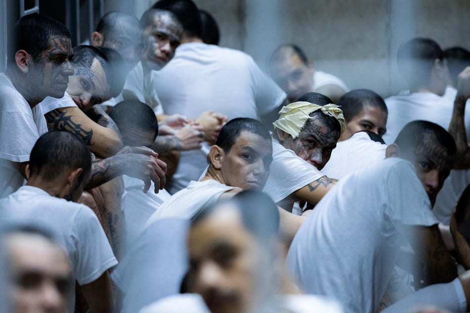 Venezuelans deported from the US by the Trump administration are pictured upon their arrival at the Terrorism Confinement Center (CECOT) mega prison in El Salvador.