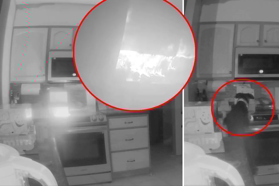 Feuer reißt Mann aus Schlaf: Hund spielt am Herd herum, dann brennt es!