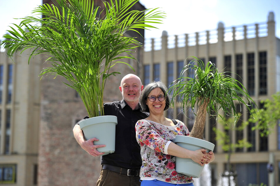 Auf dem Weg ins Jahr 2025: Kulturhauptstadt-Geschäftsführer Stefan Schmidtke und die spanische Künstlerin Maider López trugen Zimmerpflanzen spazieren.