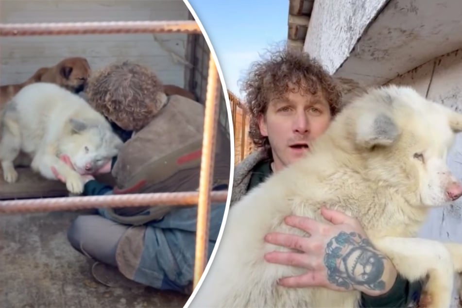 Malte Zierden: Malte Zierden rettet Hund vor dem sicheren Tod: "Werde diesen Moment niemals vergessen"