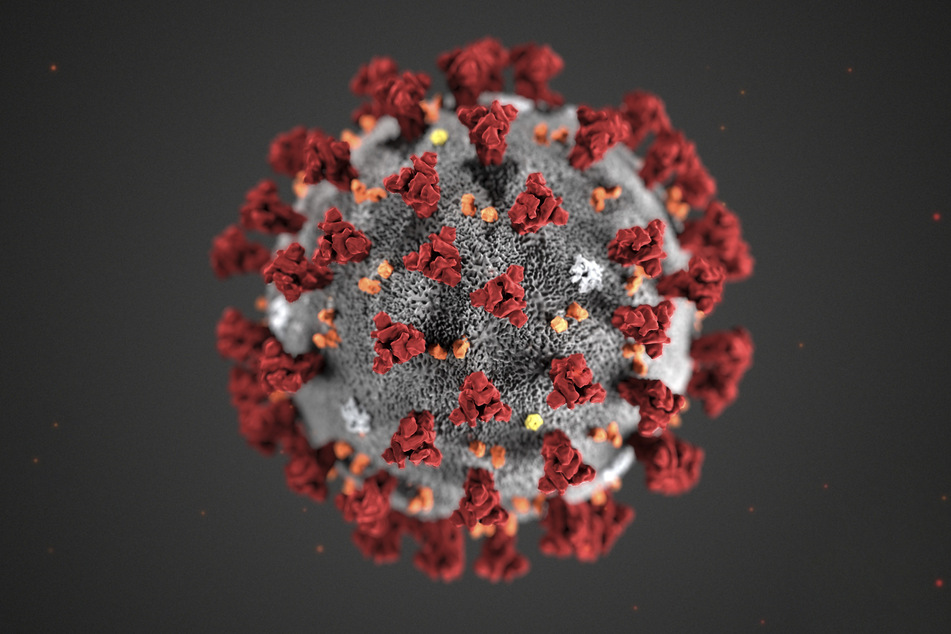 Diese erstellte Illustration zeigt den neuartigen Coronavirus 2019-nCoV. 