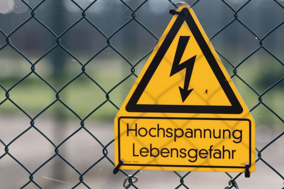 Sabotage auf vier Pfoten: 17.000 Haushalte im Kreis Esslingen ohne Strom