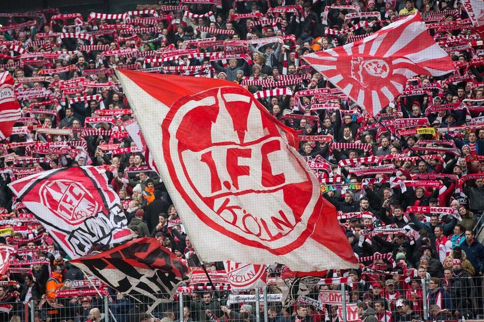 Dem 1. FC Köln fehlt ein Spieltag vor Saisonende nur noch ein Punkt, um den Aufstieg in die Fußball-Bundesliga perfekt zu machen.