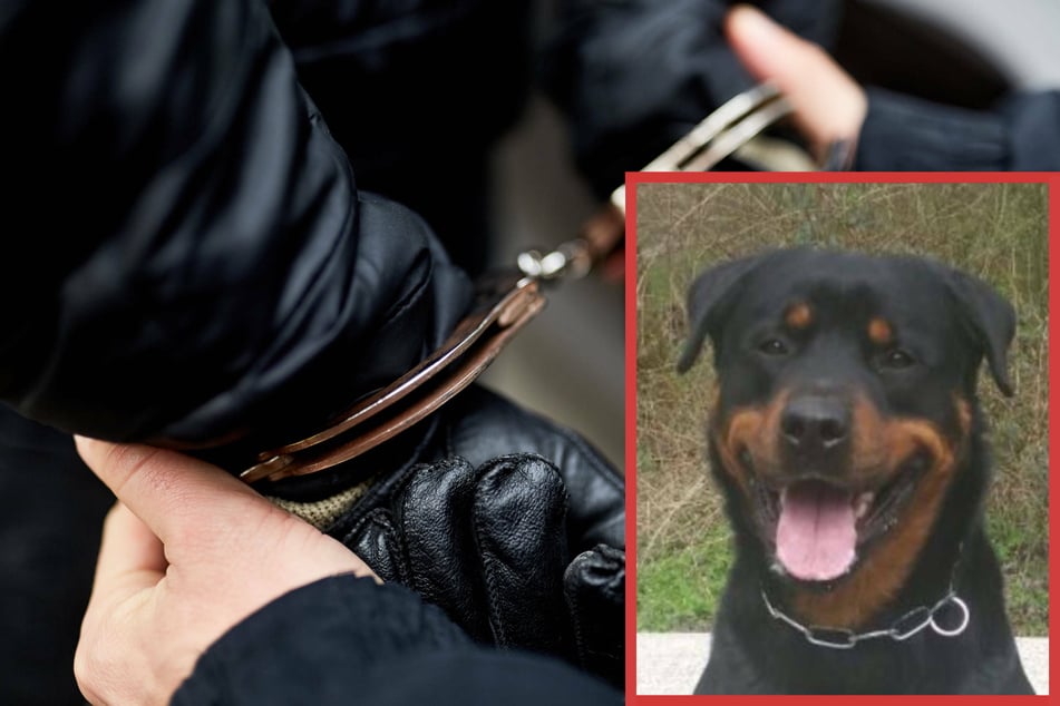 In Essen hat Polizeihund "Drago" in der Nacht zu Mittwoch einen mutmaßlichen Einbrecher (20) gestoppt. Zeugen hatten den Einbruch zuvor bemerkt und die Polizei alarmiert. (Symbolbild)
