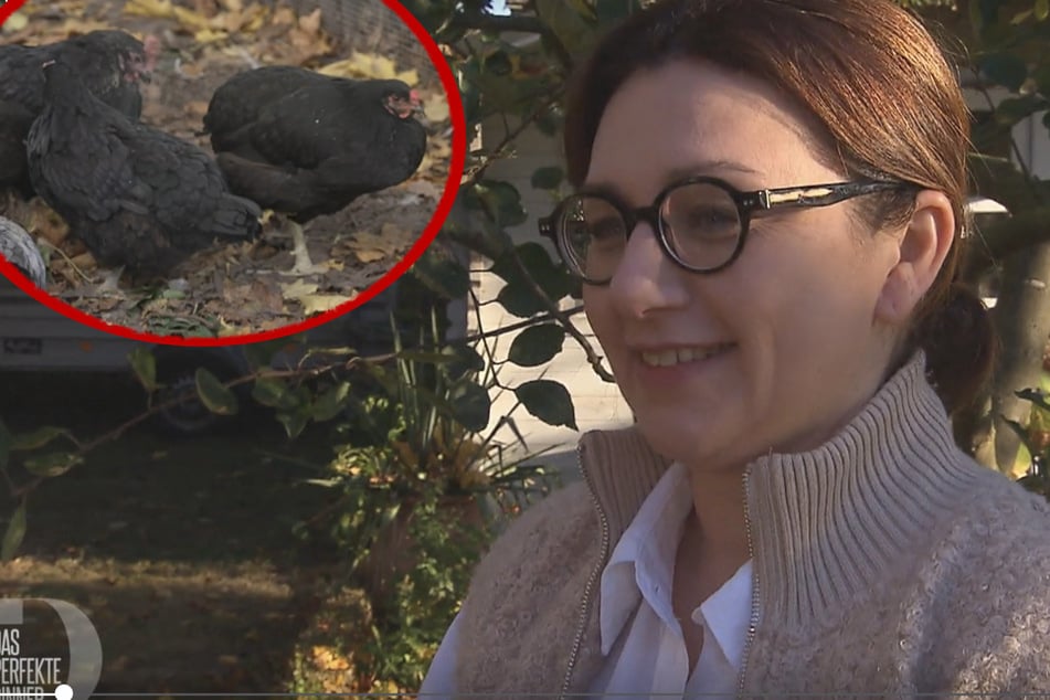 Aus ihrem Garten in den Topf: Hühner von "Das perfekte Dinner"-Kandidatin müssen dran glauben