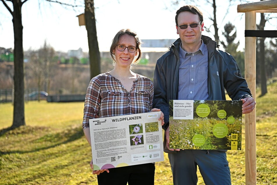 Jenny Förster (31) vom Umweltzentrum setzt sich mit Eigenbetriebs-Abteilungsleiter Nico Seidel (47) für Wildbienen ein.