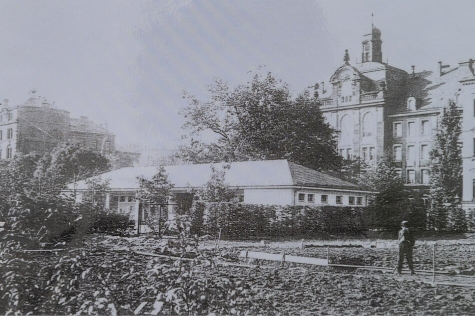 Eine historische Aufnahme des Gartens.