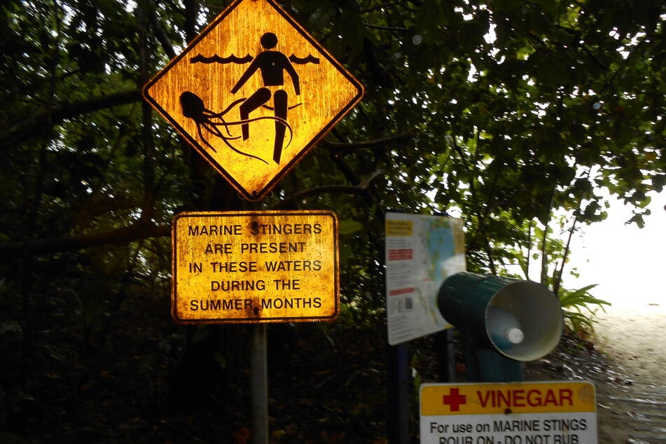 Schilder warnen an einem Strand auf der Insel Green Island im Bundesstaat Queensland vor giftigen Quallen.