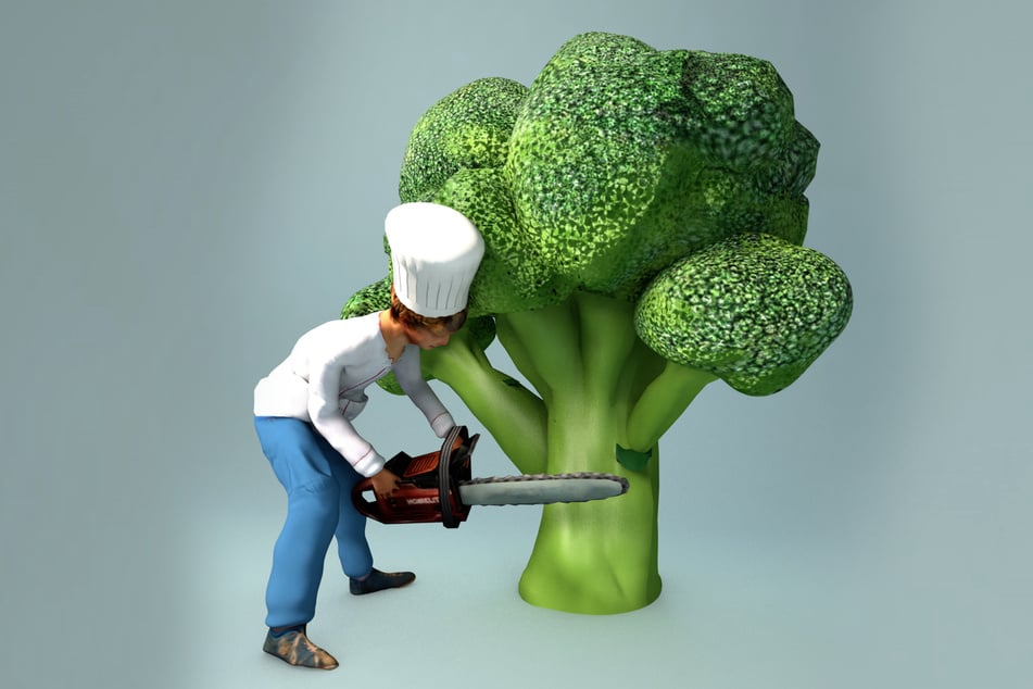 Der kleine Koch scheut sich vor keiner Arbeit, fällt sogar einen Brokkoli-Baum.