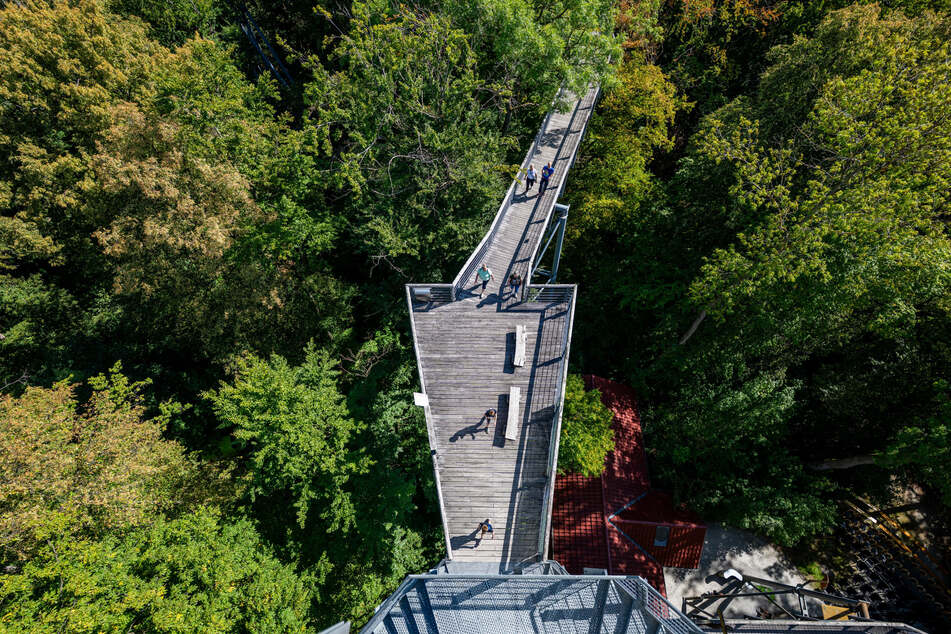 Zwei Frauen verirren sich im Nationalpark Hainich