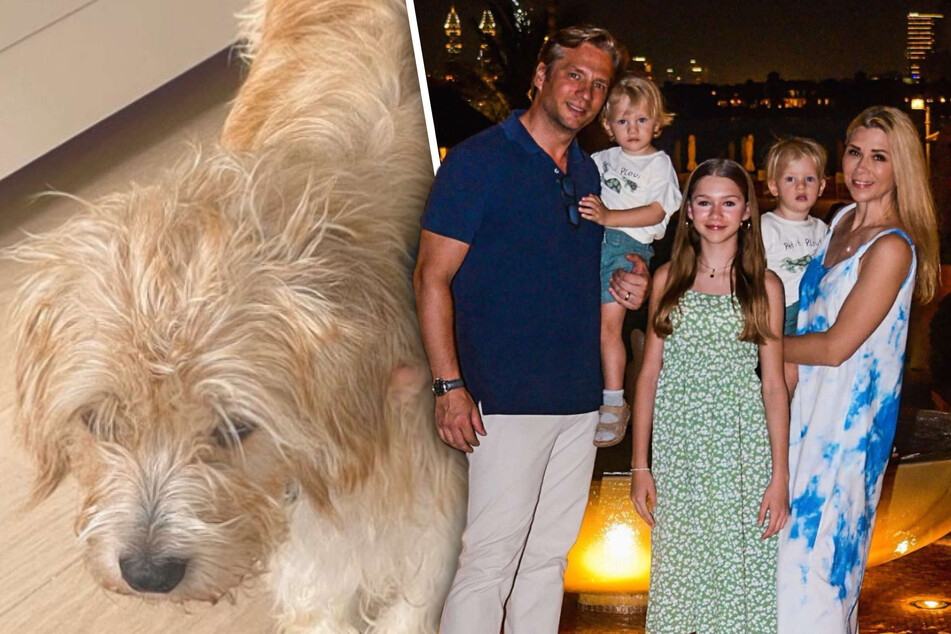 Tanja Szewczenko wandert nach Dubai aus, doch was passiert eigentlich mit Familienhund Guido?