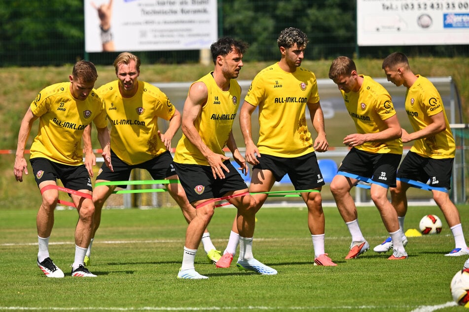 Der erste Eindruck passt: Dynamos Vincent Vermeij (32, 2.v.l.) hat bei Neininger "ein gutes Gefühl".