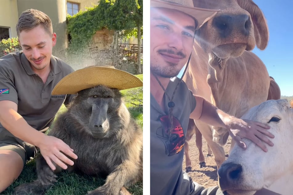 Seinen Alltag bestreitet Ruben Lambrechs (26) mit ganz unterschiedlichen Farmbewohnern - wie Cindy (l.) und Snowy (r.).