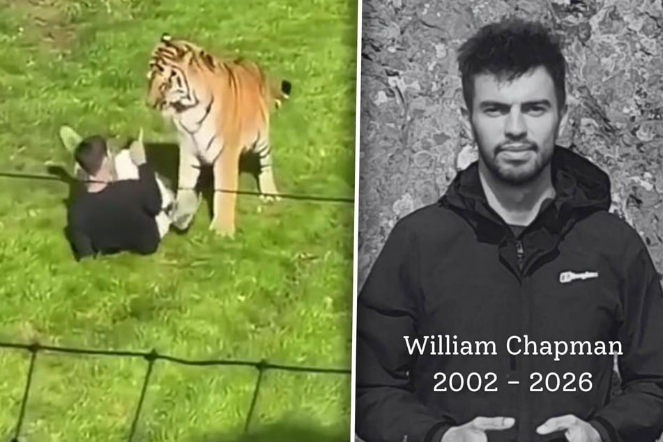 William Chapman (†23) war psychisch krank; starb, nachdem er in das Tigergehege gelangt war.