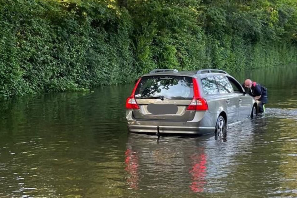 Touristin fährt mit Hund an Ufer entlang: Plötzlich wird's für beide brenzlig