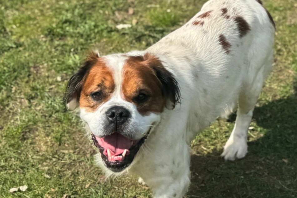 Der kleine Timo wird von seinen Pflegern auch "Grinsebacke" genannt.