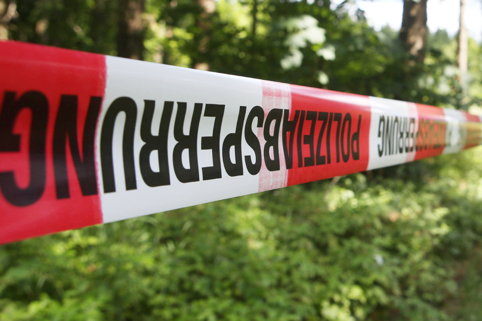 Die Polizei hat die Leiche der Vermissten im Pfaffenhofener Waldstück "Schleiferholz" entdeckt. (Symbolbild)