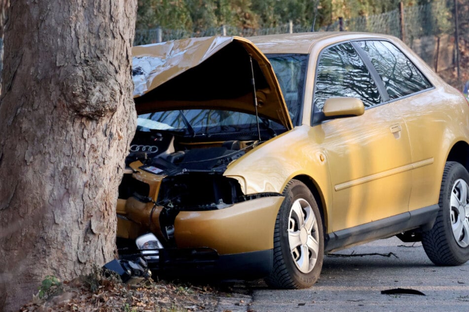 Baum-Crash in Chemnitz: Audi-Fahrer schwer verletzt