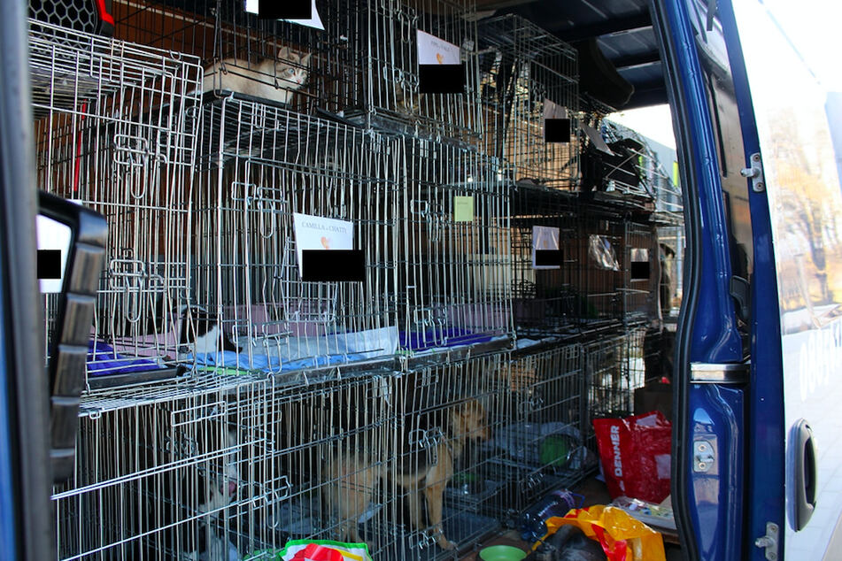 Diese Transporter mit zahlreichen Tierkäfigen wurde von der Polizei gestoppt.