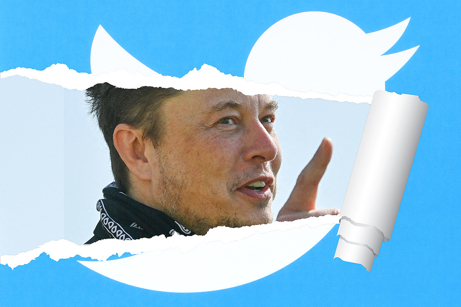 So what's the Twitter plan now, Musk?