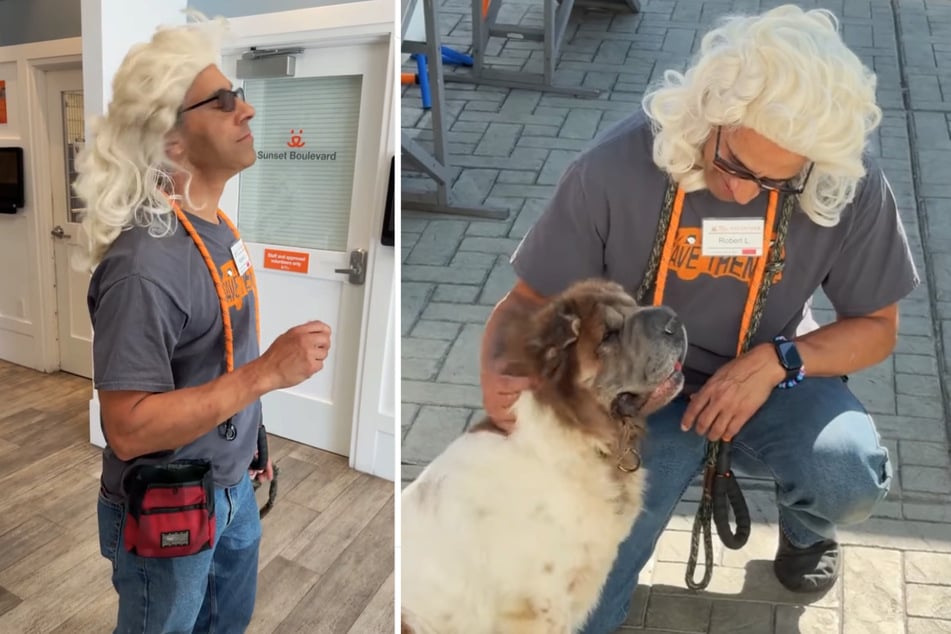 Ein Tierheim-Pfleger griff kurzerhand zu einem Trick, um es Winnie einfacher zu machen.
