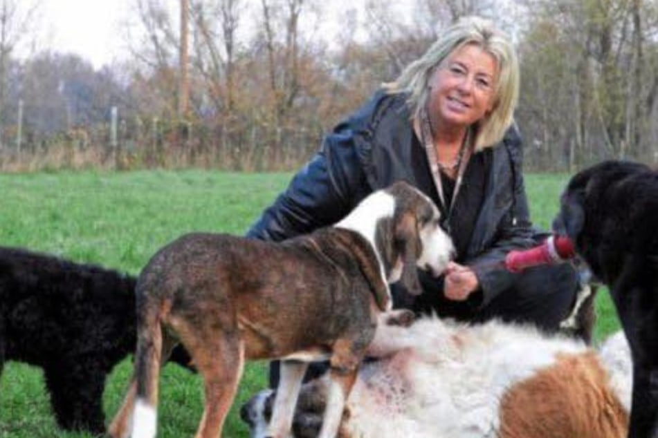"Soll er doch hier verrecken!": Diese Frau schenkt im Sterben liegenden Hunden ein liebevolles Zuhause