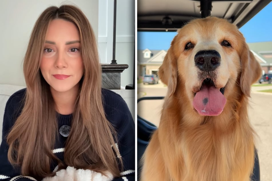 Courtney Budzyn hat sich am Sonntag mit bitteren Nachrichten rund um Golden Retriever Tucker zu Wort gemeldet.