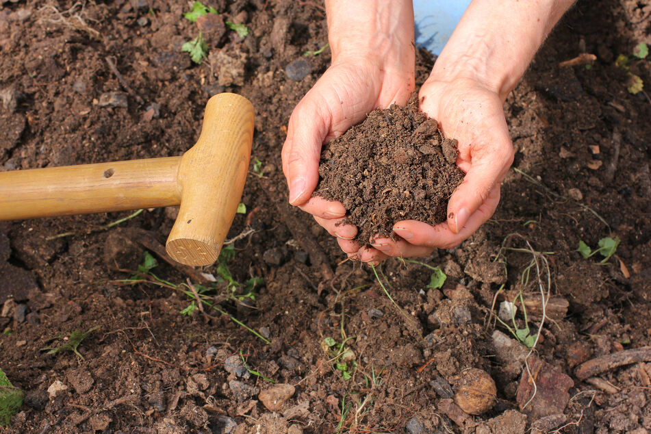 New York Gov. Kathy Hochul signed new legislation legalizing the composting of human remains as an alternative to traditional burial methods.