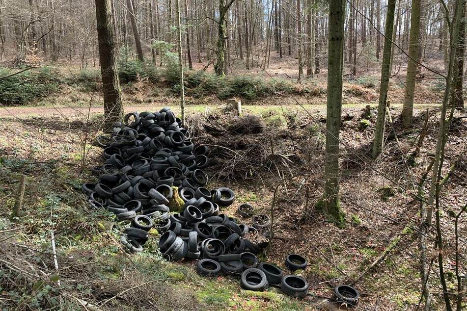 Unbekannte haben in einem Waldstück bei Erlenbach in Rheinland-Pfalz eine riesige Menge gebrauchter Autoreifen entsorgt.