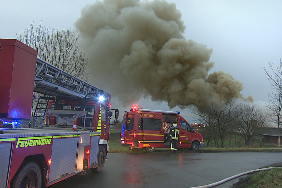 Großbrand am Niederrhein: 800 Schweine sterben