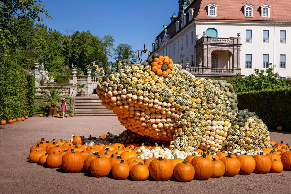 "Der Froschkönig" besteht aus rund 1500 Kürbissen.