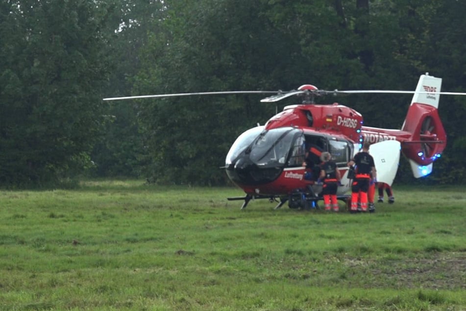 Pferde gehen durch: Zwei Kinder bei Reitunfall schwer verletzt