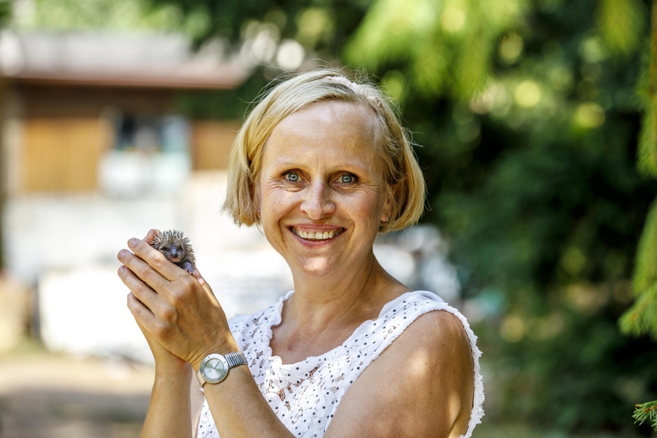 Igel-Retterin Katrin Westerhausen (54) rechnet schon im August mit dem nächsten "Mieterandrang".