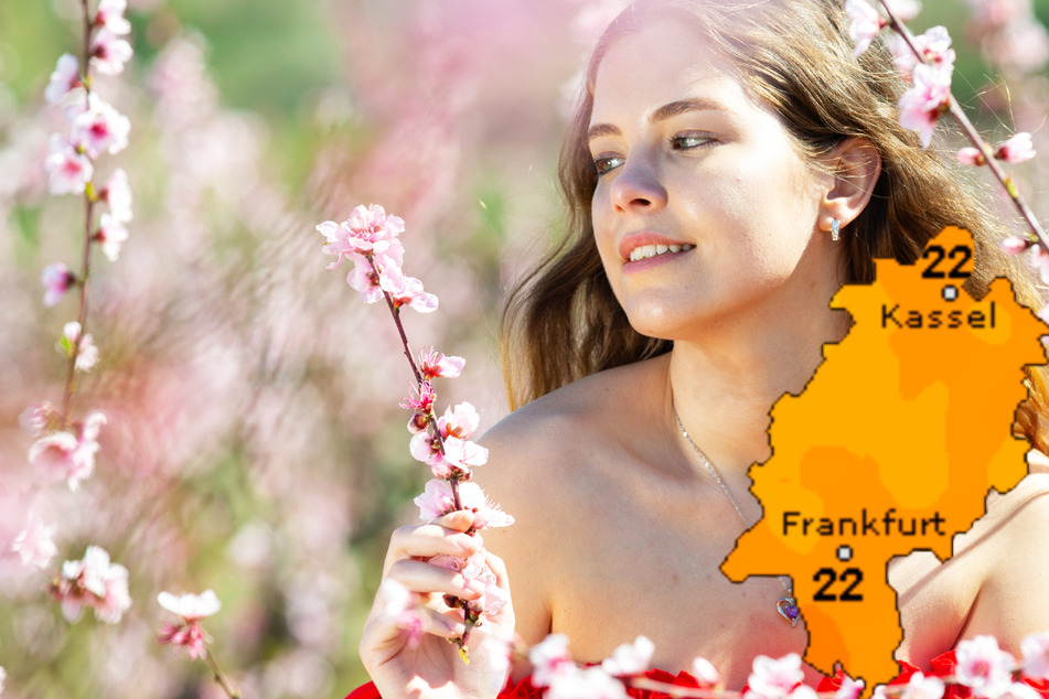 Das Frühlings-Wetter in Frankfurt und Hessen nimmt kurzzeitig Fahrt auf: Bis zu 22 Grad sind am Samstag möglich.