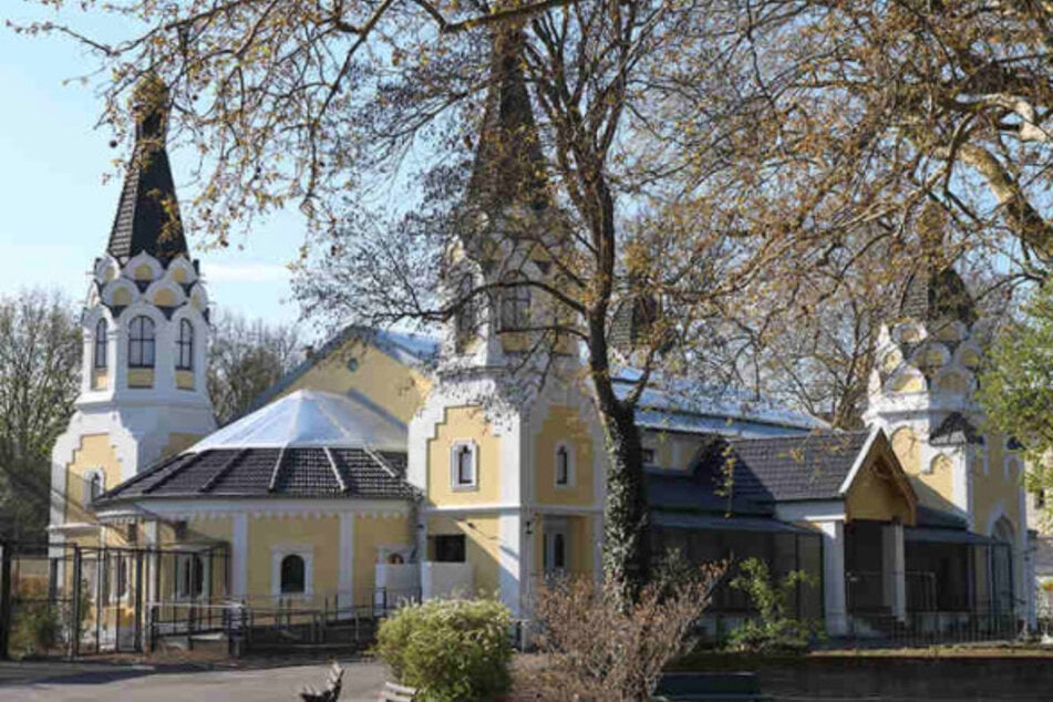 Der Kölner Zoo hat mit dem Arnulf-und-Elizabeth-Reichert-Haus eine eigene Südamerika-Welt eingerichtet. Hier leben auch die Faultiere.