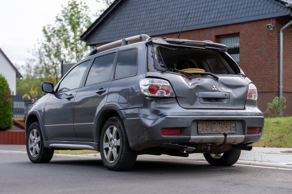 In Hessen ist ein ausgebüxter Jungbulle gegen ein Auto gesprungen. Der Wagen wurde bei dem Zwischenfall erheblich beschädigt.