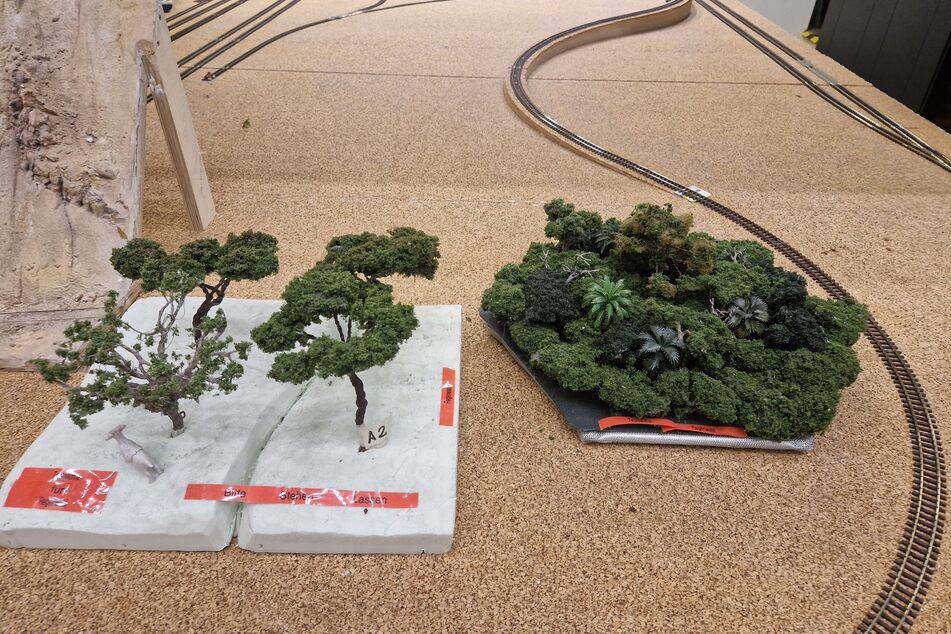 "Es ist immer erst der Tisch und dann Schienen da. Wenn das fertig ist, kommt die Landschaft", so Sönke Freitag gegenüber TAG24. Hier zu sehen ein paar Prototypen für die Regenwald-Bäume.